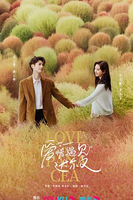 山东seo外包优化报价